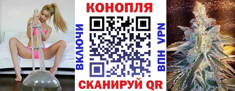 купить   Александровск  МАРИХУАНА планчик 